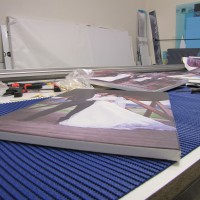 IMG_1181.jpg