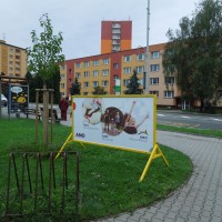 DSCN3982.jpg